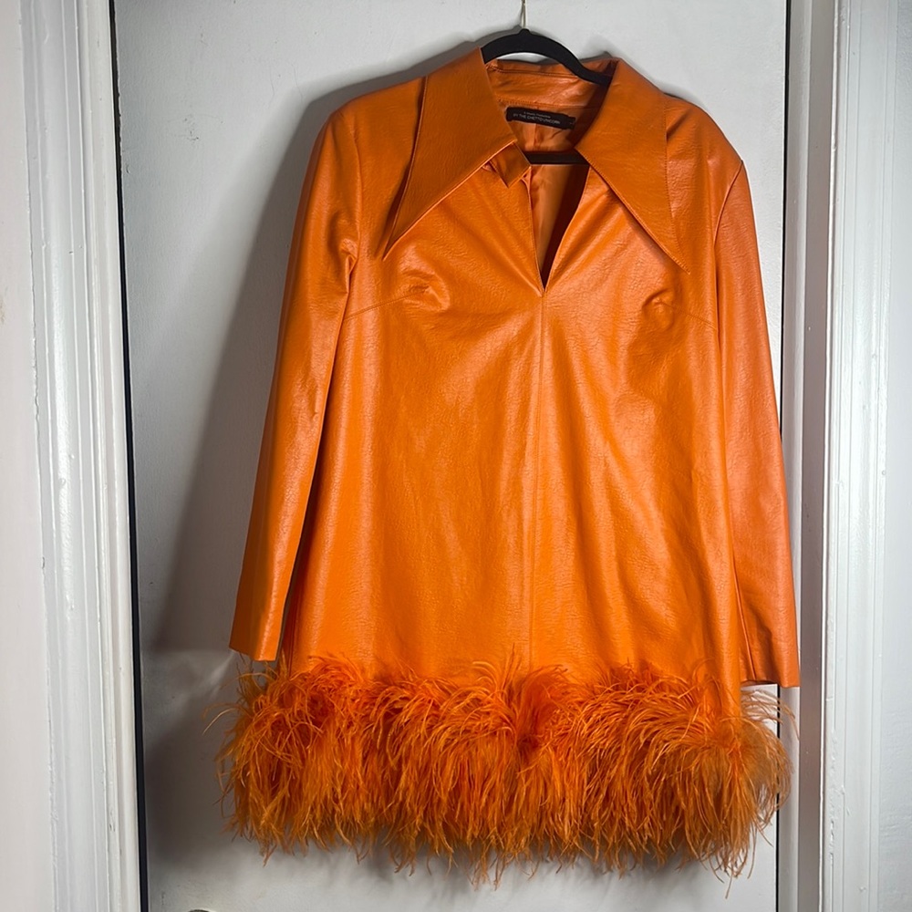 Leather dress with ostrich feathers worn once